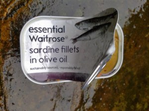 picture of an empty sardine tin